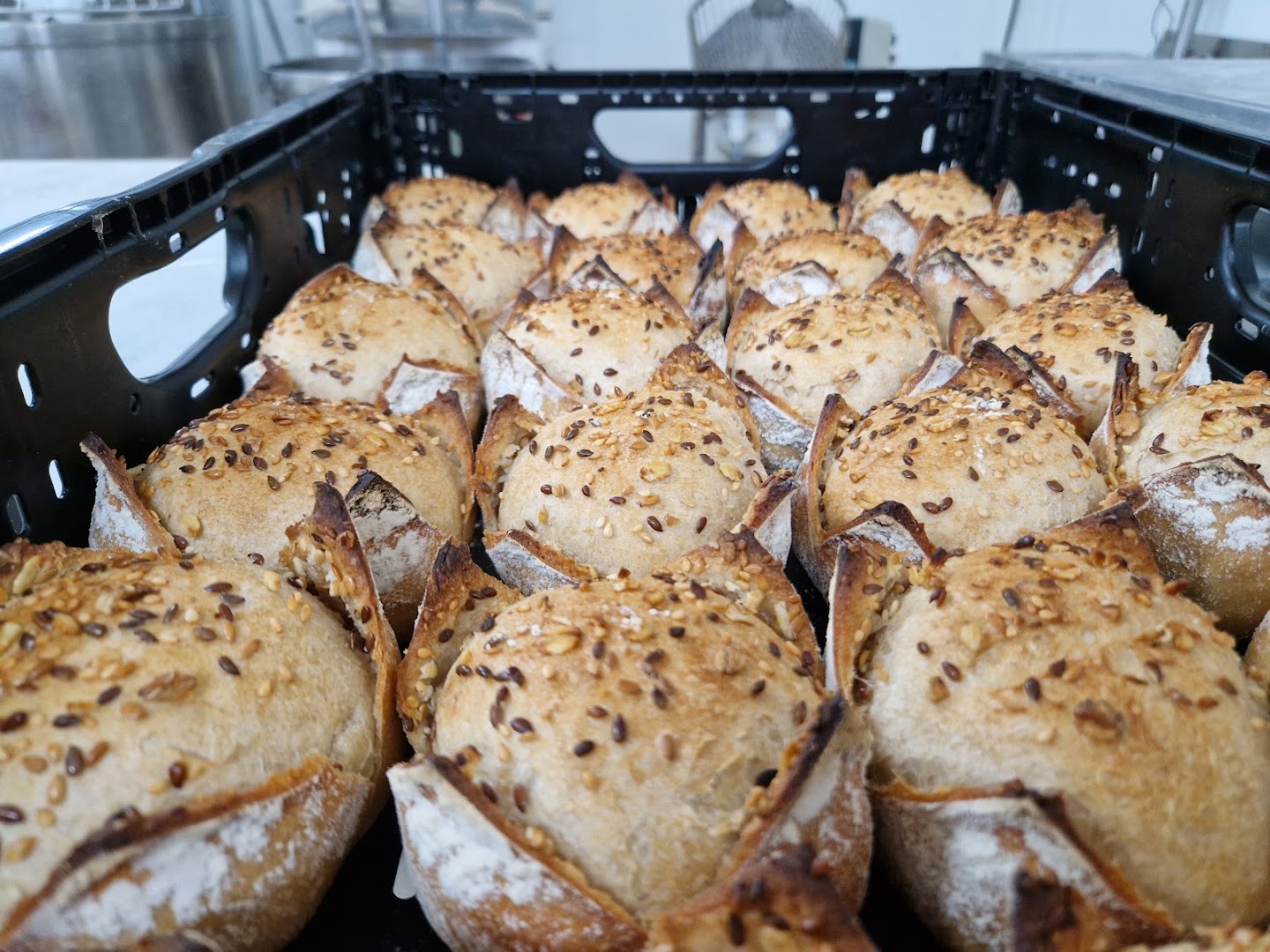 Boulangerie Reizabal · Photos 1